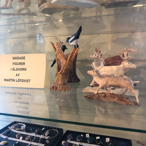 Figures of moose horn